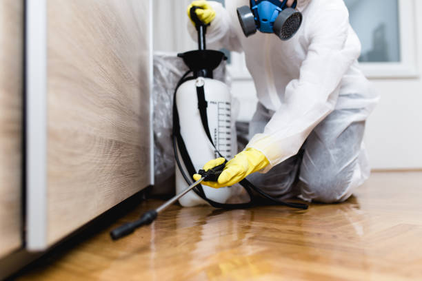 Best Termite Control Services  in Bells, TX