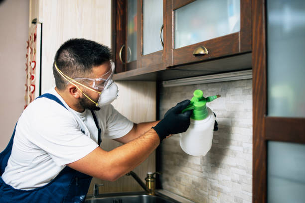 Best Pest Control Near Me  in Bells, TX