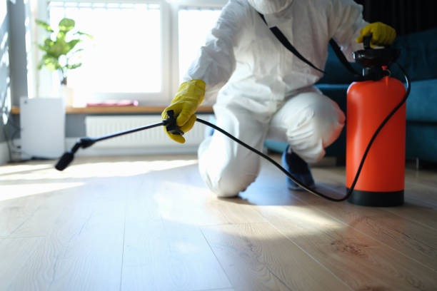 Best Pest Removal Services  in Bells, TX