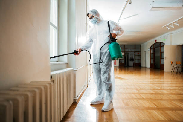 Best Pest Control Near Me in Bells, TX