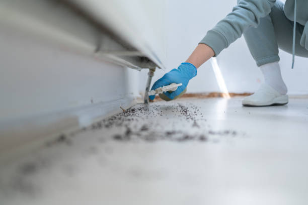 Best Emergency Pest Control  in Bells, TX